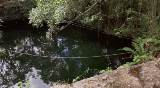 Cenote slow pan left tilt down slo mo