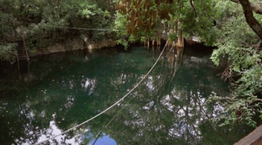 Cenote slow pan right slo mo