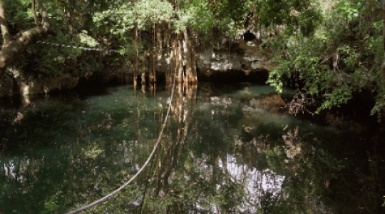 Cenote slow pan right tilt up slo mo