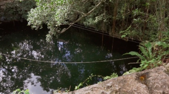 Cenote slow tilt down pan right slo mo