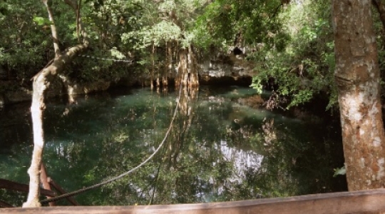 Cenote static shot - 4 slo mo