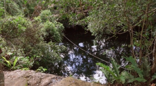 Cenote static shot - 6 slo mo