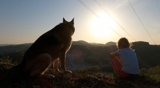 Dog at the lookout