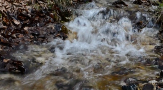 Flowing creek