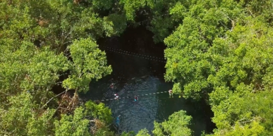 Mexico Cenote People Swimming