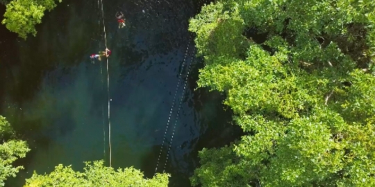 Mexico Cenote People Swimming