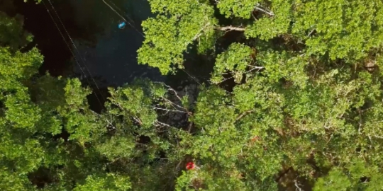 Mexico Cenote People Swimming