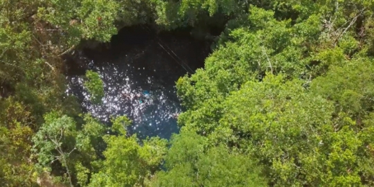 Mexico Cenote People Swimming