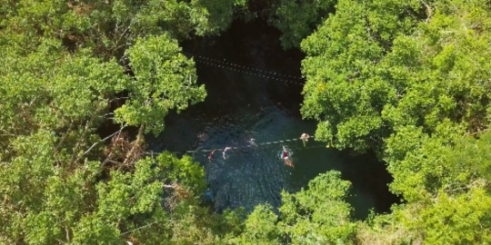 Mexico Cenote People Swimming