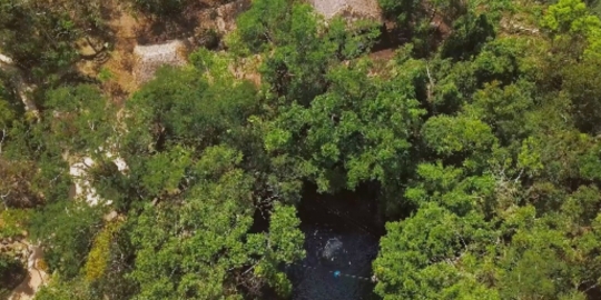 Mexico Cenote People Swimming