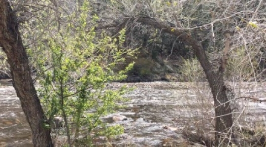 Nature - Colorado