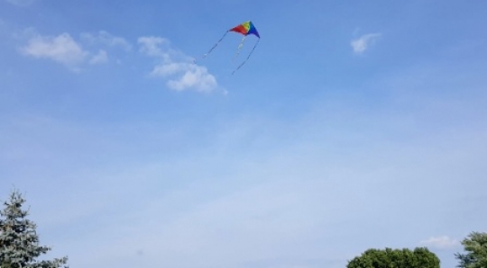 Nature - Kite