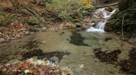 Nature - Pond