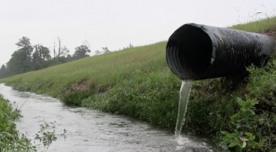 Nature - Sewer pipe