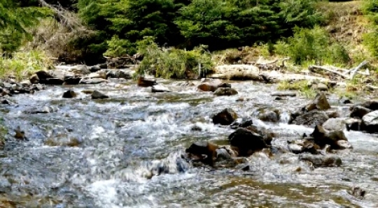 Nature - The sound of the creek