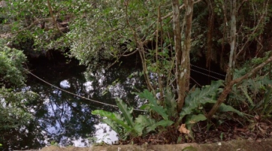 Static video Cenote pan right -1 