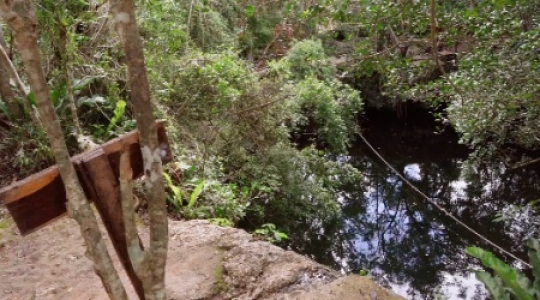 Static video Cenote pan right -12