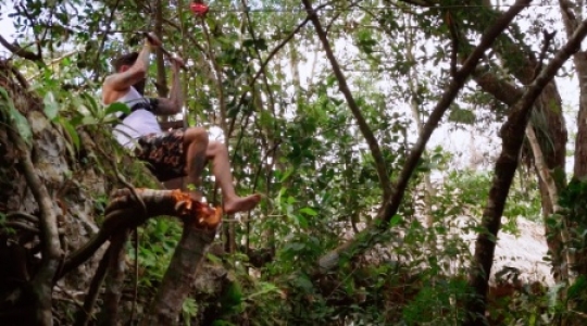 Static video Cenote zip liner