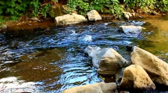 Water stream