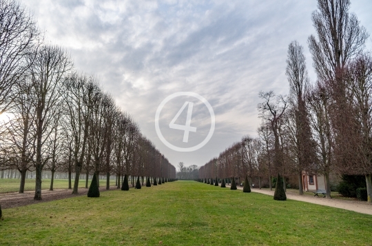 Autumn trees border