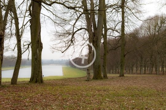 Autumn trees in park