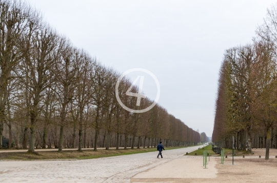 Autumn trees walkway 3