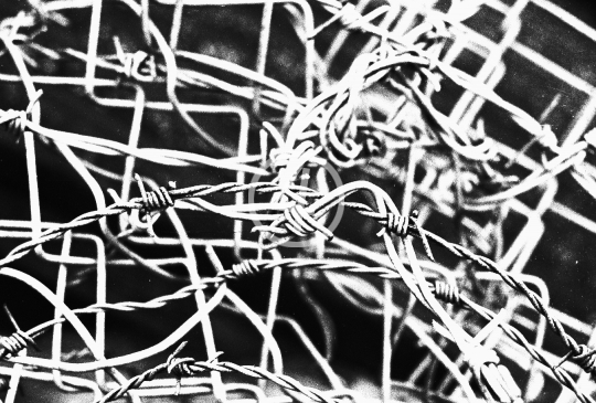 B/W Barbed wire