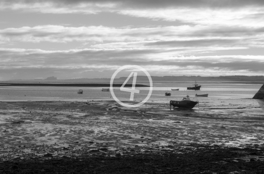 B/W Boats docked