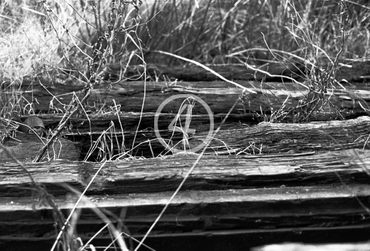 B/W Brush over tracks