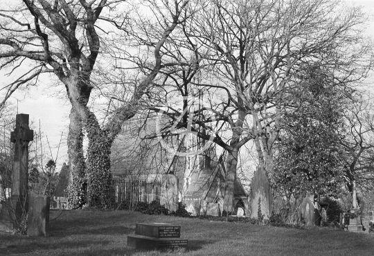 B/W Cemetery 