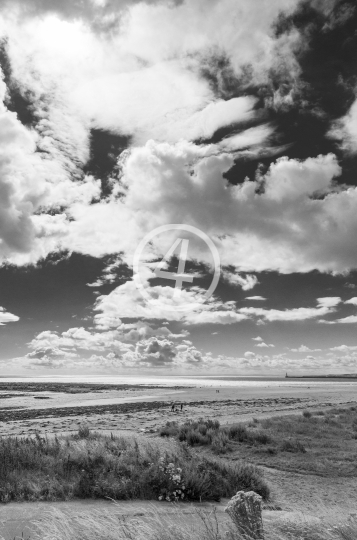 B/W Cloudy field