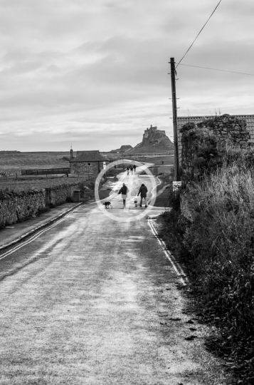 B/W Dirt road