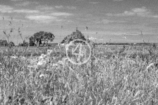 B/W Field