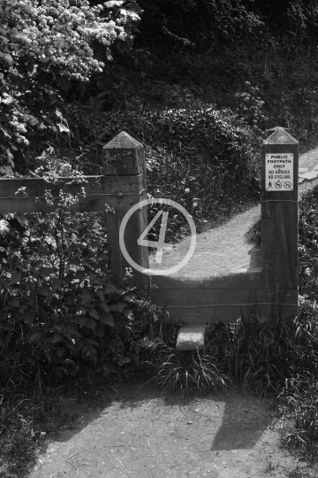 B/W Garden gate