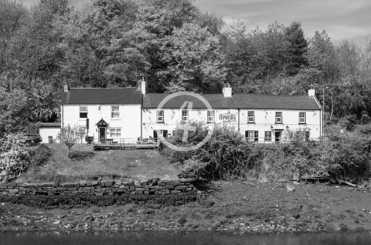 B/W Houses