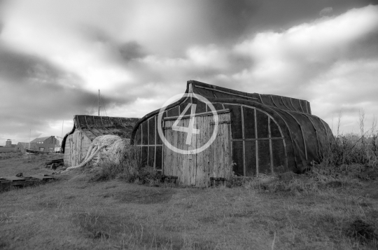 B/W Houses