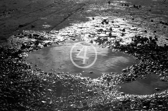 B/W Puddle