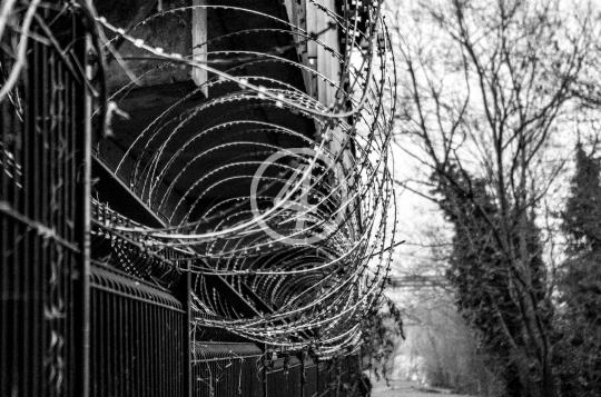 B/W Razor wire