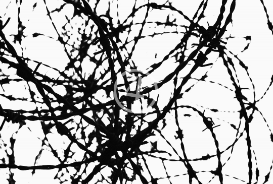 B/W Razor wire