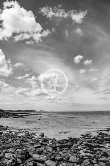 B/W Rocky shore