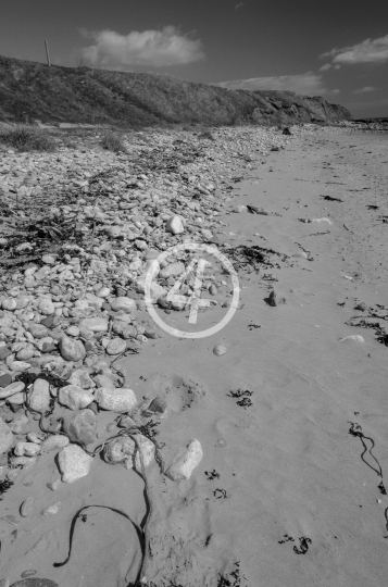 B/W Water beach landscape