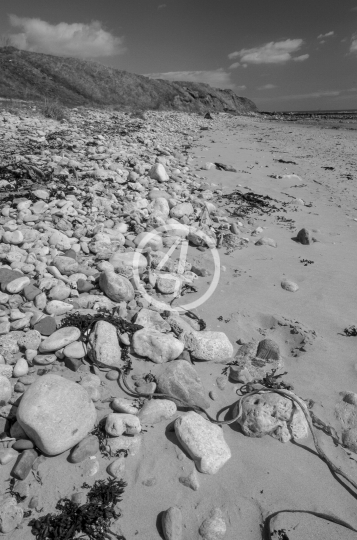 B/W Water beach landscape