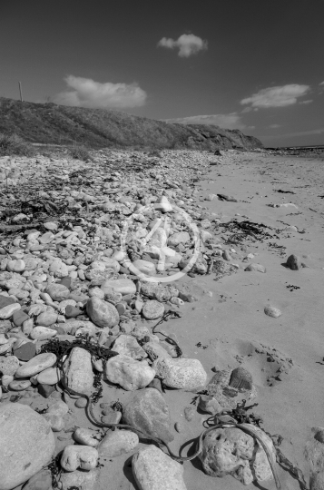 B/W Water beach landscape