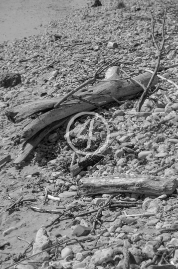 B/W Water beach landscape