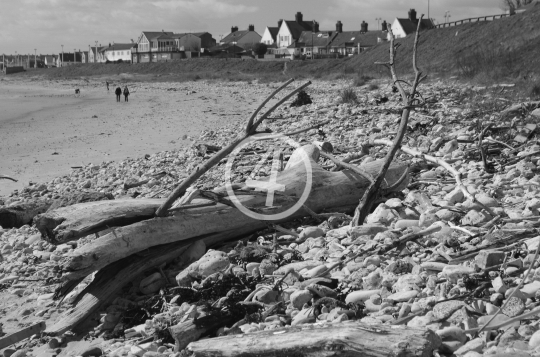 B/W Water beach landscape