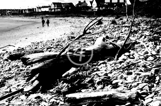 B/W Water beach landscape