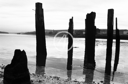 B/W Water ruins