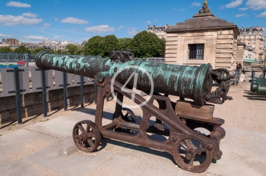 Cannon 1