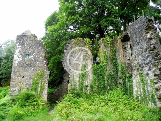 Castle ruins