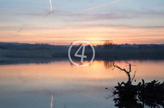 Distant sunrise behind the tree line